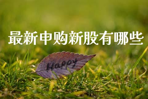 最新申购新股有哪些_https://m.lcjysmgs.com_股权投资_第1张