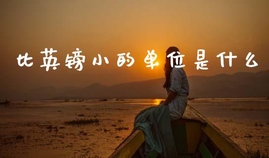 比英镑小的单位是什么_https://m.lcjysmgs.com_股权投资_第1张