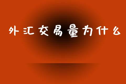 外汇交易量为什么_https://m.lcjysmgs.com_金融服务_第1张
