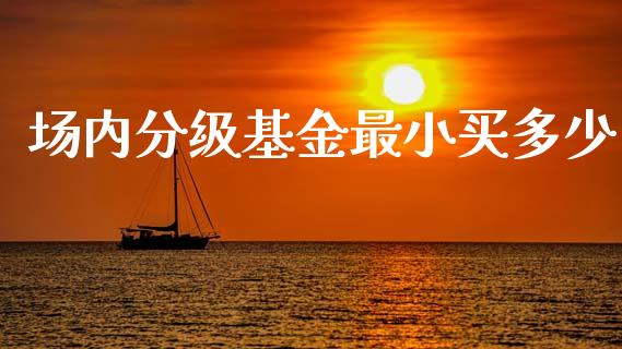 场内分级基金最小买多少_https://m.lcjysmgs.com_基金管理_第1张