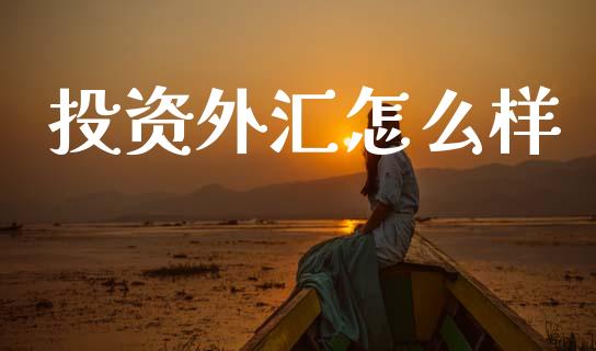 投资外汇怎么样_https://m.lcjysmgs.com_股票交易_第1张