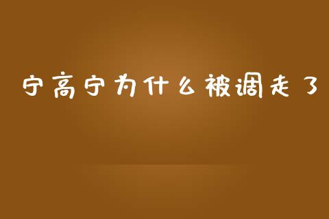宁高宁为什么被调走了_https://m.lcjysmgs.com_股票交易_第1张