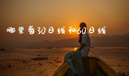 哪里看30日线和60日线_https://m.lcjysmgs.com_股票交易_第1张