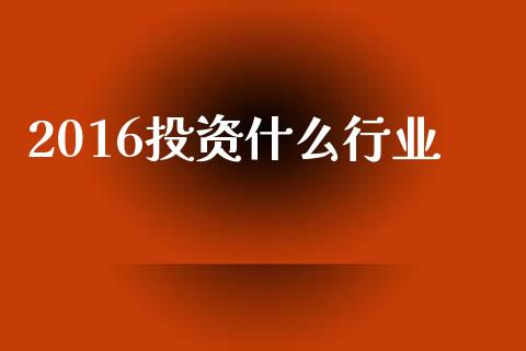 2016投资什么行业_https://m.lcjysmgs.com_基金管理_第1张