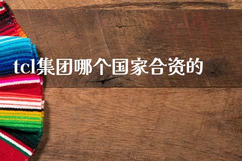tcl集团哪个国家合资的_https://m.lcjysmgs.com_基金管理_第1张