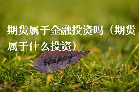期货属于金融投资吗（期货属于什么投资）_https://m.lcjysmgs.com_金融服务_第1张