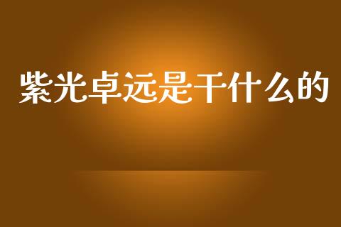 紫光卓远是干什么的_https://m.lcjysmgs.com_金融服务_第1张