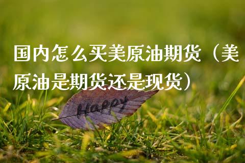 国内怎么买美原油期货（美原油是期货还是现货）_https://m.lcjysmgs.com_股票交易_第1张