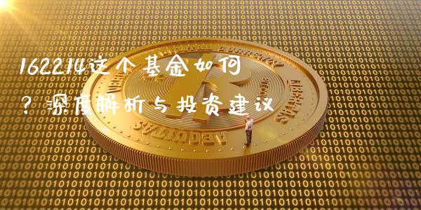 162214这个基金如何？深度解析与投资建议_https://m.lcjysmgs.com_股权投资_第1张