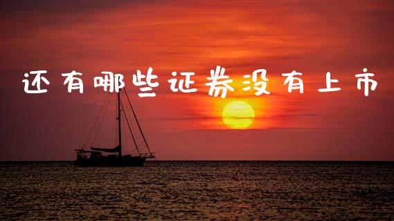 还有哪些证券没有上市_https://m.lcjysmgs.com_金融服务_第1张