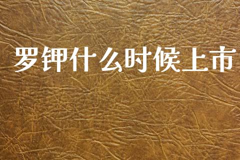 罗钾什么时候上市_https://m.lcjysmgs.com_基金管理_第1张