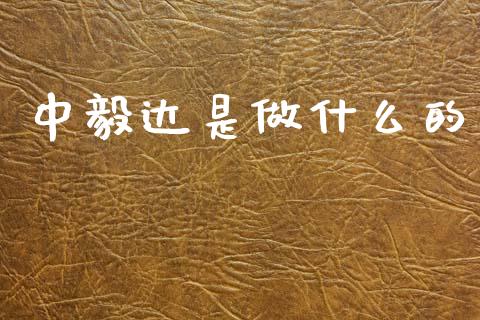 中毅达是做什么的_https://m.lcjysmgs.com_基金管理_第1张