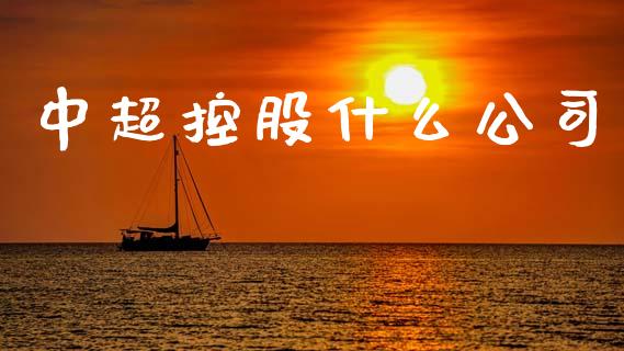 中超控股什么公司_https://m.lcjysmgs.com_股票交易_第1张