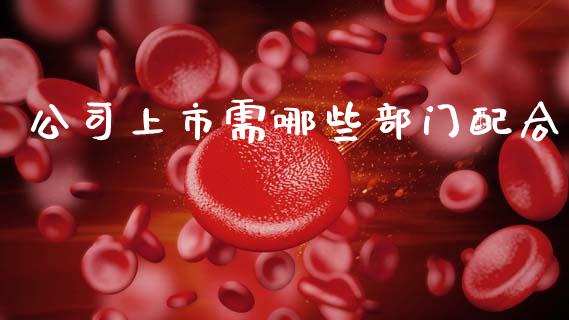 公司上市需哪些部门配合_https://m.lcjysmgs.com_股权投资_第1张