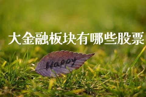 大金融板块有哪些股票_https://m.lcjysmgs.com_股权投资_第1张