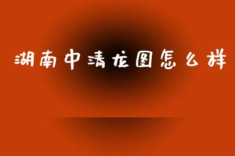 湖南中清龙图怎么样_https://m.lcjysmgs.com_股票交易_第1张
