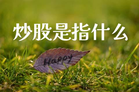 炒股是指什么_https://m.lcjysmgs.com_股权投资_第1张