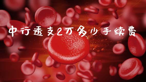 中行透支2万多少手续费_https://m.lcjysmgs.com_基金管理_第1张