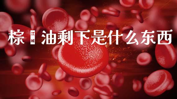 棕榈油剩下是什么东西_https://m.lcjysmgs.com_股票交易_第1张