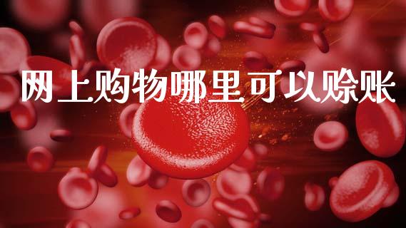 网上购物哪里可以赊账_https://m.lcjysmgs.com_基金管理_第1张