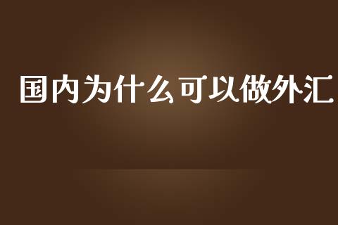 国内为什么可以做外汇_https://m.lcjysmgs.com_股票交易_第1张