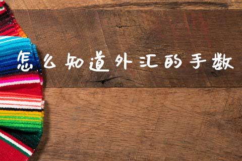 怎么知道外汇的手数_https://m.lcjysmgs.com_基金管理_第1张