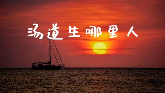 汤道生哪里人_https://m.lcjysmgs.com_股权投资_第1张