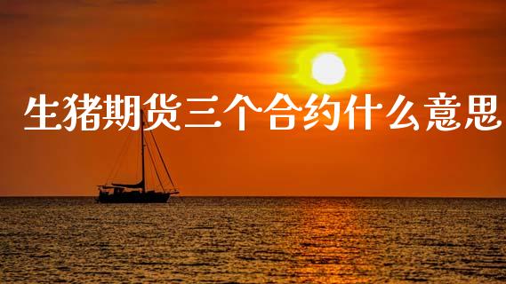 生猪期货三个合约什么意思_https://m.lcjysmgs.com_股票交易_第1张