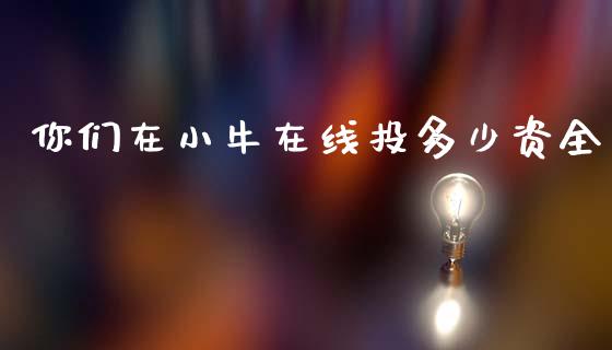 你们在小牛在线投多少资全_https://m.lcjysmgs.com_股权投资_第1张