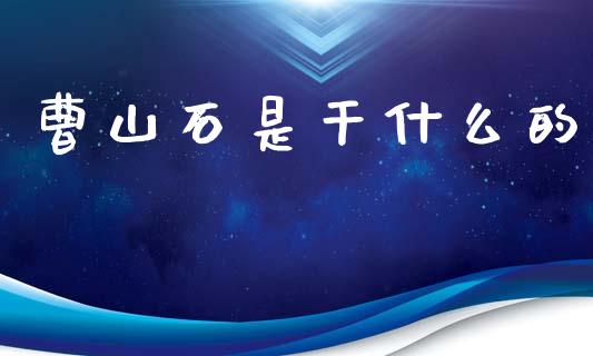 曹山石是干什么的_https://m.lcjysmgs.com_股票交易_第1张