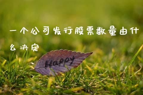 一个公司发行股票数量由什么决定_https://m.lcjysmgs.com_股票交易_第1张