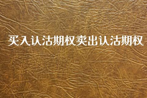 买入认沽期权卖出认沽期权_https://m.lcjysmgs.com_金融服务_第1张