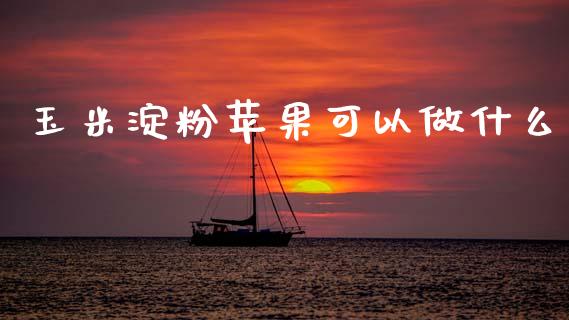 玉米淀粉苹果可以做什么_https://m.lcjysmgs.com_基金管理_第1张