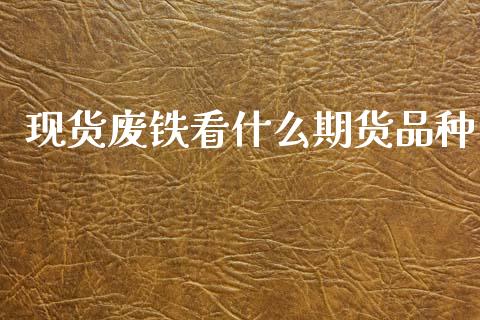 现货废铁看什么期货品种_https://m.lcjysmgs.com_股权投资_第1张