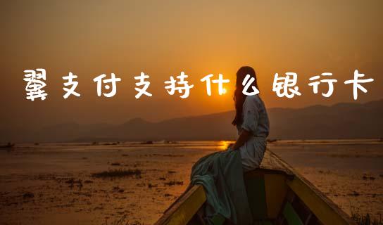 翼支付支持什么银行卡_https://m.lcjysmgs.com_股权投资_第1张