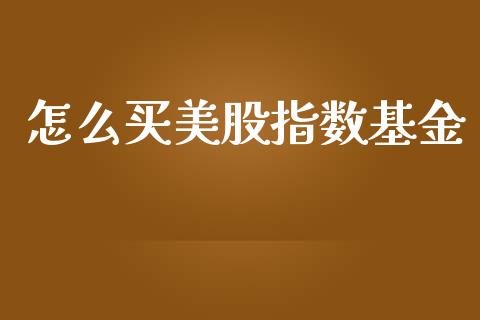 怎么买美股指数基金_https://m.lcjysmgs.com_股权投资_第1张
