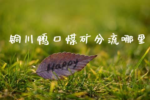铜川鸭口煤矿分流哪里_https://m.lcjysmgs.com_股权投资_第1张