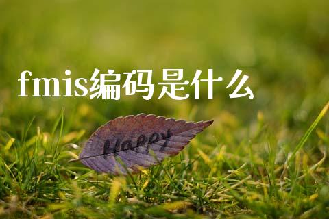 fmis编码是什么_https://m.lcjysmgs.com_股票交易_第1张