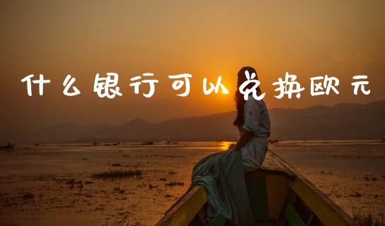 什么银行可以兑换欧元_https://m.lcjysmgs.com_股权投资_第1张