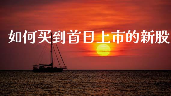 如何买到首日上市的新股_https://m.lcjysmgs.com_股票交易_第1张