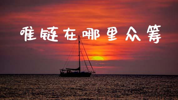 唯链在哪里众筹_https://m.lcjysmgs.com_股权投资_第1张