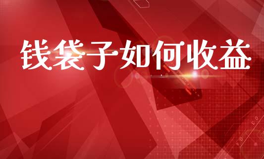 钱袋子如何收益_https://m.lcjysmgs.com_股权投资_第1张