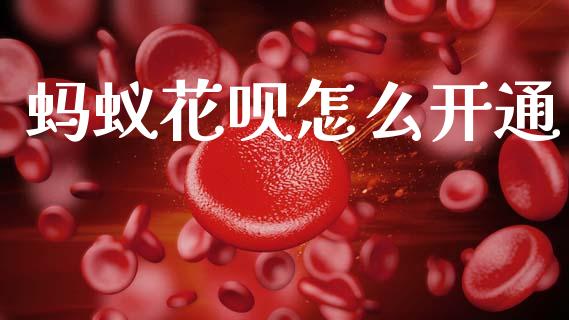 蚂蚁花呗怎么开通_https://m.lcjysmgs.com_股权投资_第1张