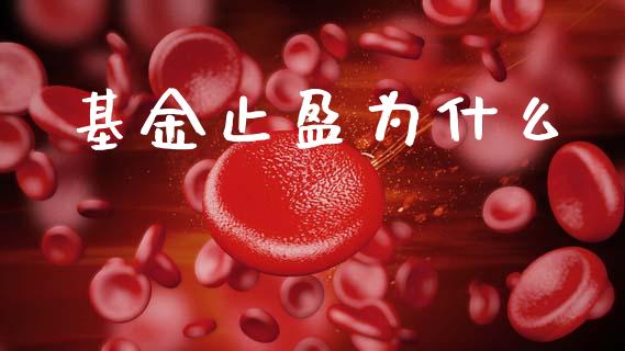 基金止盈为什么_https://m.lcjysmgs.com_基金管理_第1张