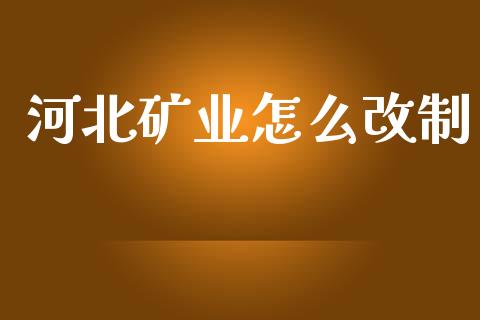 河北矿业怎么改制_https://m.lcjysmgs.com_金融服务_第1张