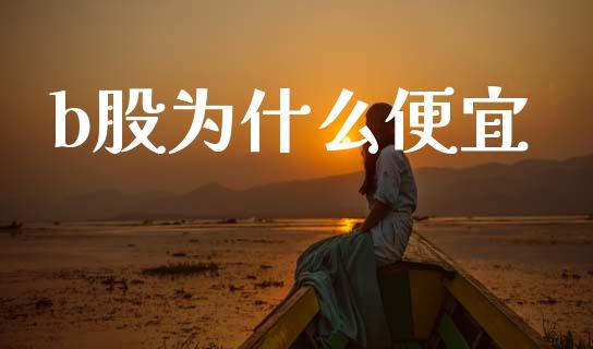 b股为什么便宜_https://m.lcjysmgs.com_基金管理_第1张