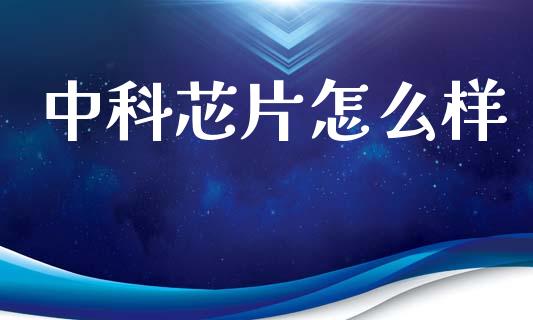 中科芯片怎么样_https://m.lcjysmgs.com_股权投资_第1张