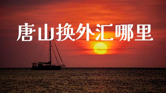 唐山换外汇哪里_https://m.lcjysmgs.com_股权投资_第1张