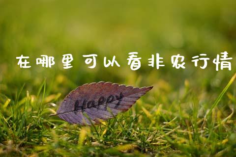 在哪里可以看非农行情_https://m.lcjysmgs.com_股票交易_第1张