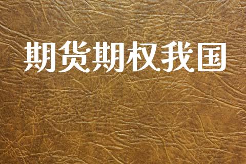 期货期权我国_https://m.lcjysmgs.com_金融服务_第1张